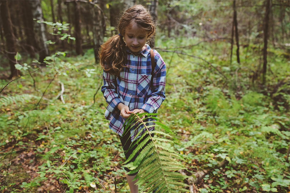 Werde Naturscout