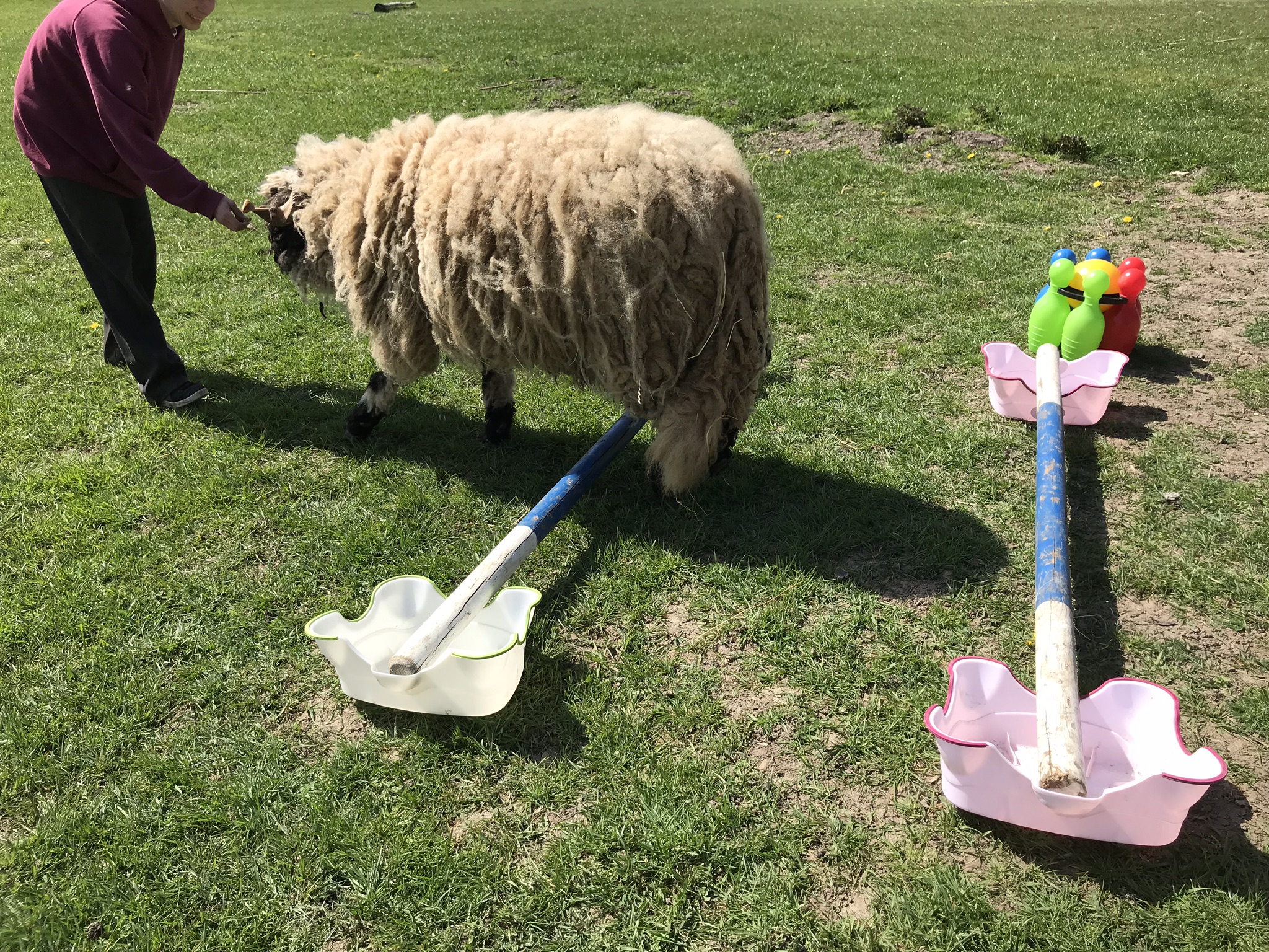 Agility Training